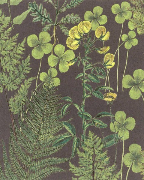 FLAX WALLPAPER | Botanical | FWP-BTN-03